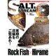 SALT&STREAM 2017年 02月号 vol.5 [雑誌]