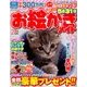 お絵かきメイト 2017年 02月号 [雑誌]