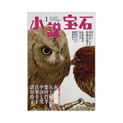 小説宝石 2017年 01月号 [雑誌]