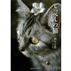 てっぺんの猫 [単行本]
