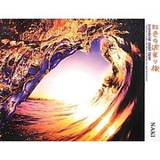 虹色の波乗り旅―RAINBOW SURF TRIP [単行本]