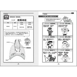 ヨドバシ Com 神経インパクト イラストと語呂で楽しく学ぶ解剖学 単行本 通販 全品無料配達