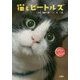 猫とビートルズ [単行本]