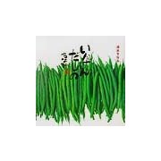 いんげんだもの [単行本]