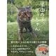 里山の子 さっちゃん ~全身マヒの猫「幸」と仲間たち~（仮） [単行本]
