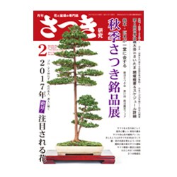 さつき研究 2017年 02月号 No.563 [雑誌]