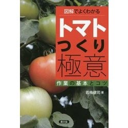 図解でよくわかるトマトつくり極意―作業の基本とコツ [単行本]