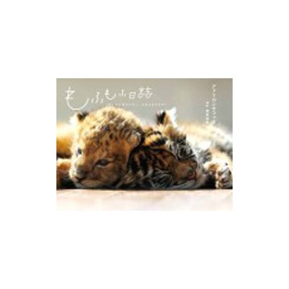 もふもふ日誌―仔トラと仔ライオン、ときどきウサギ [単行本]