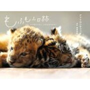 もふもふ日誌―仔トラと仔ライオン、ときどきウサギ [単行本]