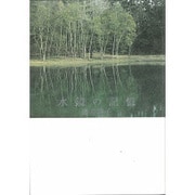 水鏡の記憶 [単行本]