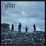 Fighter