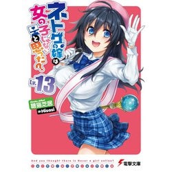ネトゲの嫁は女の子じゃないと思った?〈Lv.13〉(電撃文庫) [文庫]
