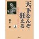 天下なんぞ狂える―夏目漱石の『こころ』をめぐって〈上〉 [単行本]