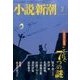 小説新潮 2017年 02月号 [雑誌]
