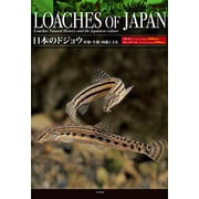 日本のドジョウ―形態・生態・文化と図鑑 [単行本]