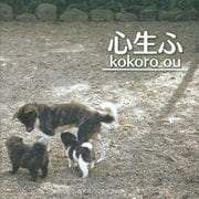心生ふ kokoro ou [単行本]