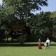 羊とヤギ／O Terra