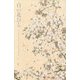 白い花びら [絵本]