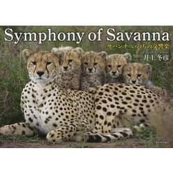 Symphony of Savanna―サバンナ いのちの交響楽 [単行本]