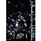 赤西仁／JIN AKANISHI LIVE TOUR 2016 ～Audio Fashion Special～ in MAKUHARI [DVD]
