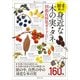 身近な木の実・植物の種 図鑑・採集ガイド [図鑑]