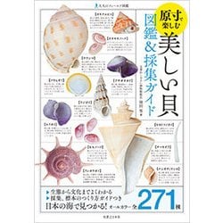 美しい貝 図鑑・採集ガイド [図鑑]