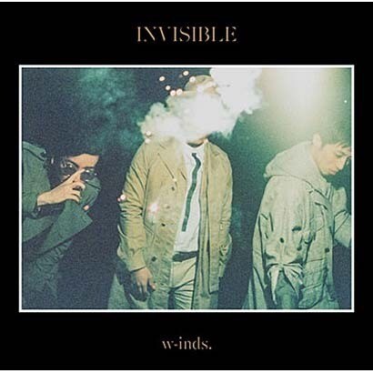 INVISIBLE INVISIBLE