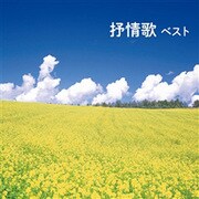 抒情歌 ベスト (BEST SELECT LIBRARY 決定版)