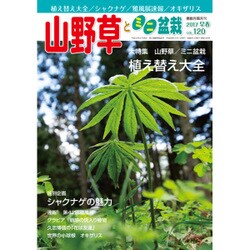 ヨドバシ.com - 山野草とミニ盆栽 2017年 03月号 [雑誌] 通販【全品