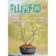 趣味の山野草 2017年 03月号 [雑誌]