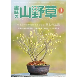 趣味の山野草 2017年 03月号 [雑誌]