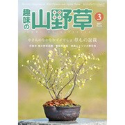 趣味の山野草 2017年 03月号 [雑誌]