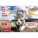 旅猫ニャン吉写真集―どんニャときでも笑う門には福来る! [単行本]