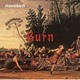 Hawaiian6／Burn