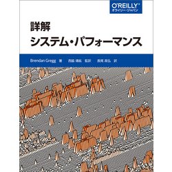 詳解 システム・パフォーマンス [単行本]
