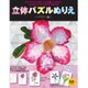 立体パズルぬりえ ～フラワー編～ [単行本]