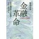 金融革命 1985～2008―社会構造の大転換!そのメカニズム [単行本]