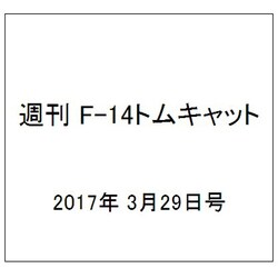 週刊 F-14トムキャット 2017年 3/29号（113） [雑誌]