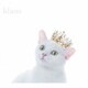 Aimer／BEST SELECTION "blanc"