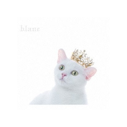 Aimer／BEST SELECTION "blanc"