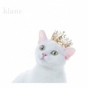 BEST SELECTION "blanc"