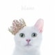 Aimer／BEST SELECTION "blanc"