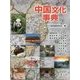 中国文化事典 [事典辞典]