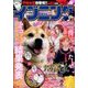 イブニング 2017年 3/14号 No.06 [雑誌]