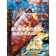 ロックフィッシュマガジン 2017年 04月号 [雑誌]