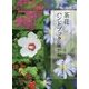 茶花ハンドブック 風炉編 [単行本]