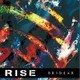 BRIDEAR／Rise