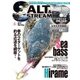 SALT&STREAM 2017年 05月号 [雑誌]