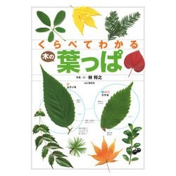 くらべてわかる？の葉っぱ [単行本]