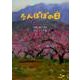たんぽぽの日－尾崎昭代詩集（ジュニア・ポエム双書 265） [単行本]